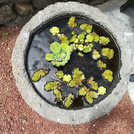 Casa Sereias * Rabo de Peixe