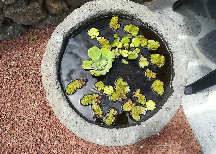 Casa Sereias * Rabo de Peixe