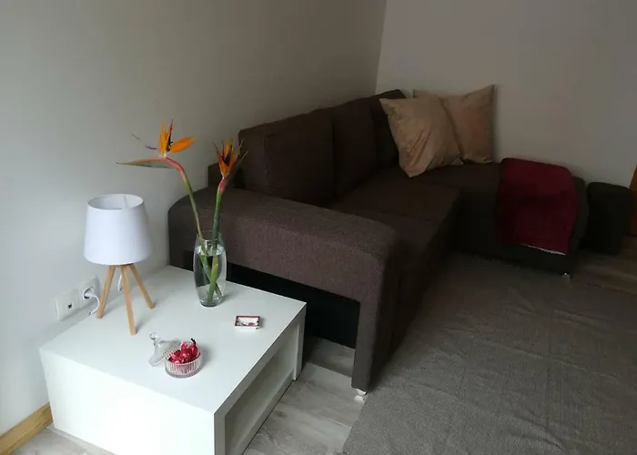 度假居 Casa Sereias Rabo de Peixe