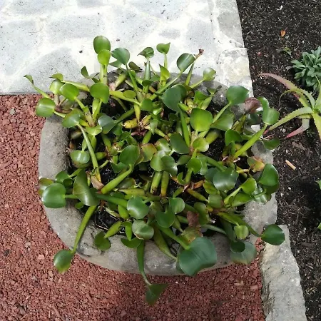 בית נופש Casa Sereias *